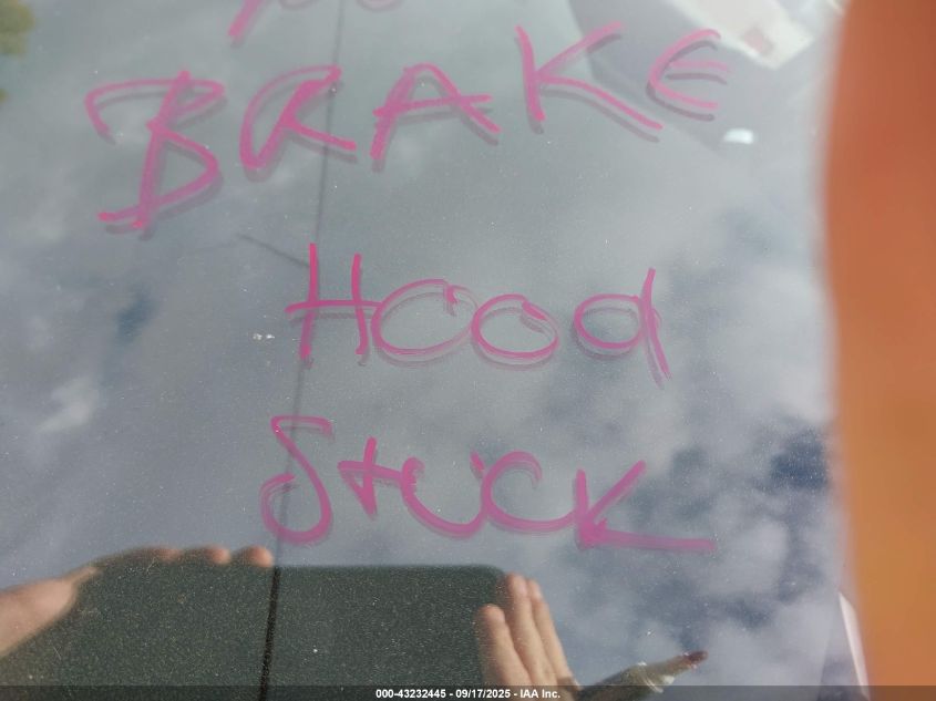 2009 Cadillac Escalade Standard VIN: 1GYFK23219R230274 Lot: 43232445