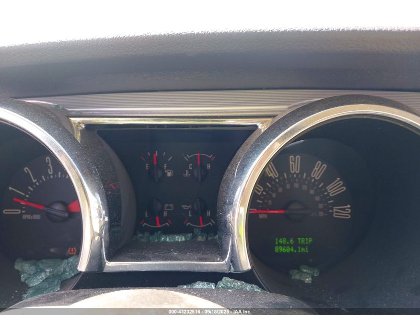 2009 Ford Mustang V6/V6 Premium VIN: 1ZVHT80N995116380 Lot: 43232516