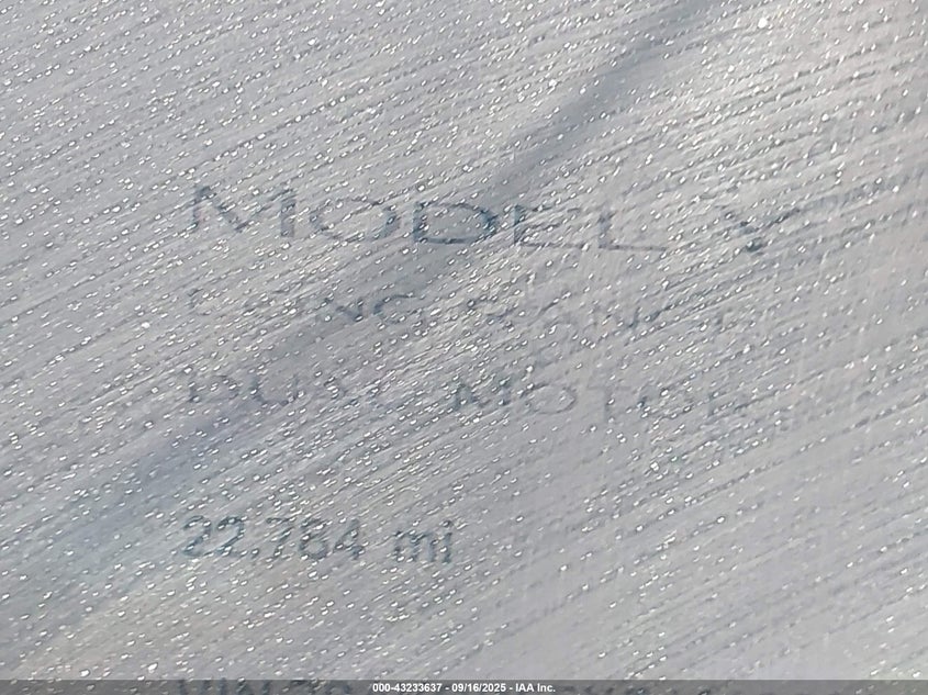 2023 Tesla Model Y VIN: 7SAYGDEEXPA146931 Lot: 43233637