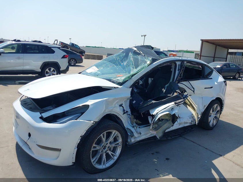 2023 Tesla Model Y VIN: 7SAYGDEEXPA146931 Lot: 43233637