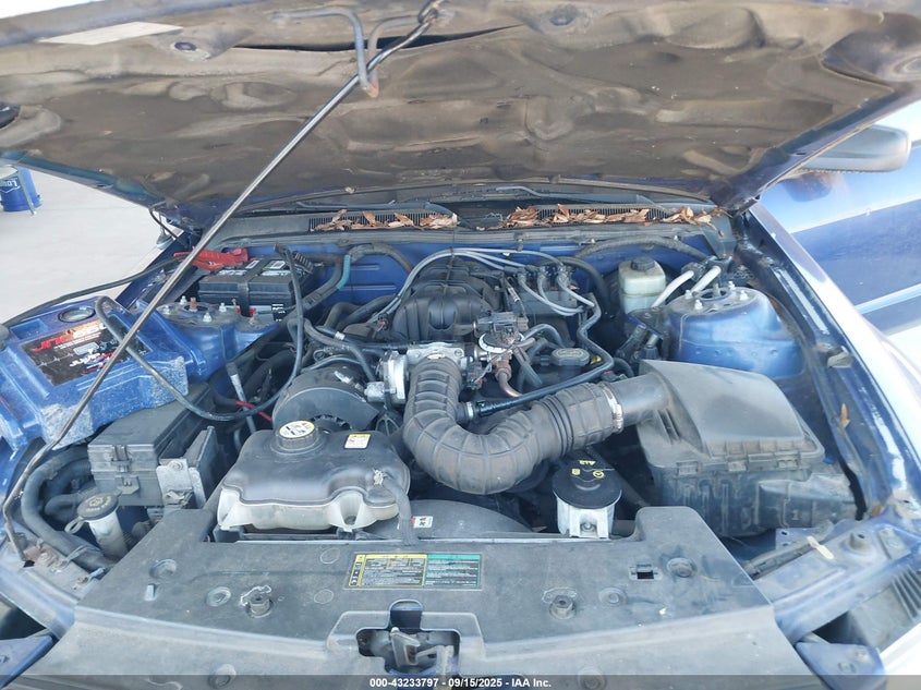 2005 Ford Mustang V6 Deluxe/V6 Premium VIN: 1ZVFT80N755144969 Lot: 43233797