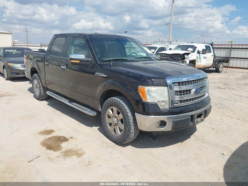 2014 FORD F-150 XLT - 1FTFW1CF2EKE53546