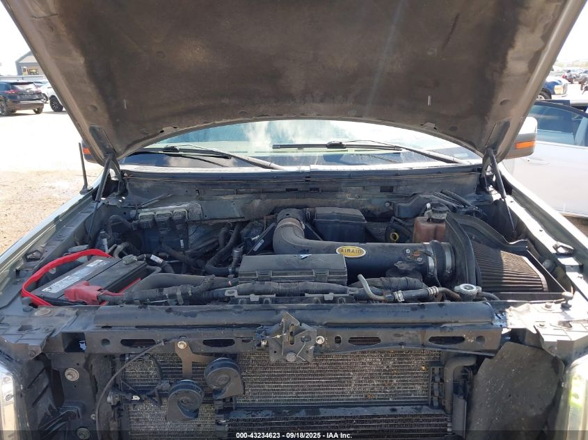 2010 Ford F-150 Platinum VIN: 1FTFW1EV4AFA96538 Lot: 43234623