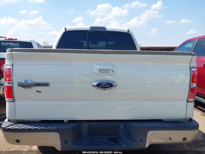 2009 Ford F-150 Fx4/King Ranch/Lariat/Platinum/Xl/Xlt VIN: 1FTPW14V29KA61828 Lot: 43235418