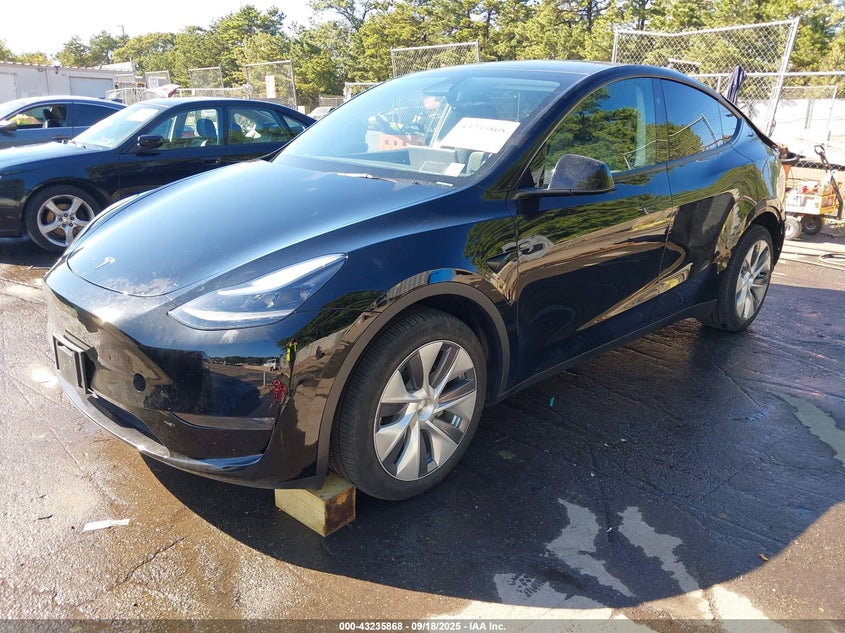 2023 TESLA MODEL Y U   U(VIN: 7SAYGDEE6PA191090