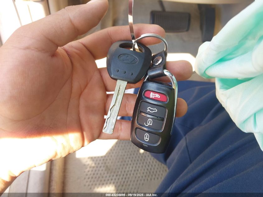 2006 Hyundai Azera Limited/Se VIN: KMHFC46F96A133634 Lot: 43235895