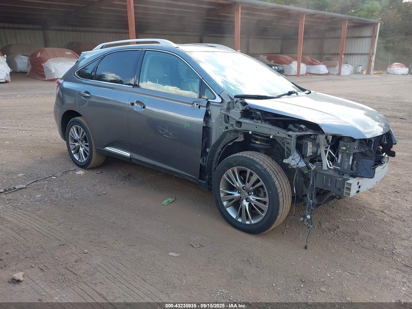 Rx mana＆hii です。 Wendy Funk Surf Baja Ivory women's slip on