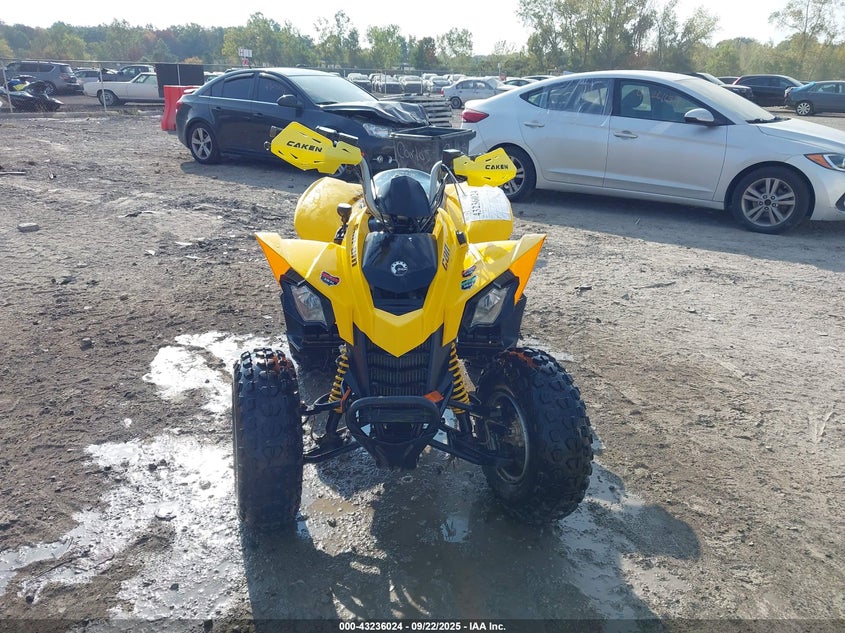 VIN RFGUB2519KS025346 2019 CAN AM ATV