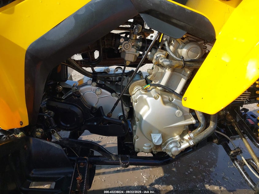 VIN RFGUB2519KS025346 2019 CAN AM ATV