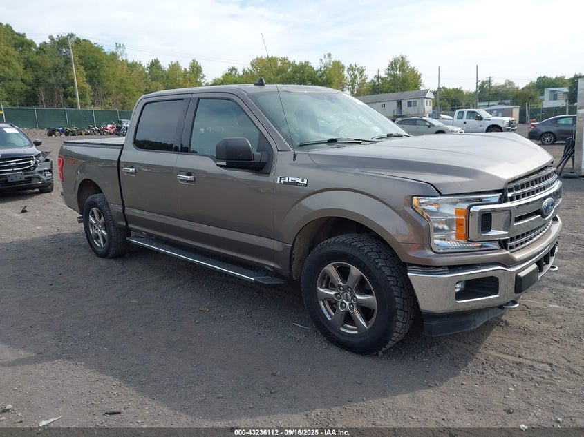 FORD F-150 XLT