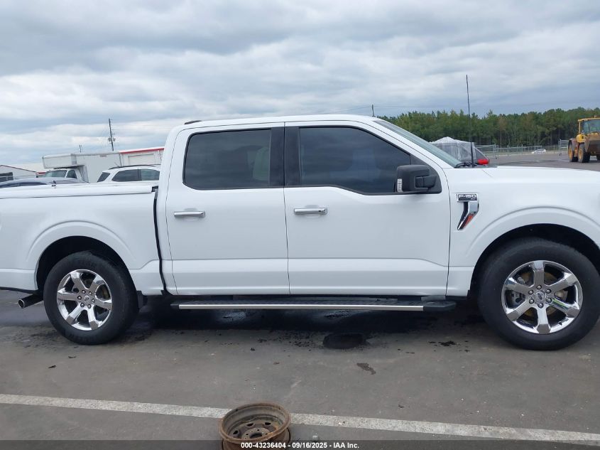 2023 Ford F-150 Xlt VIN: 1FTEW1C58PFA28542 Lot: 43236404