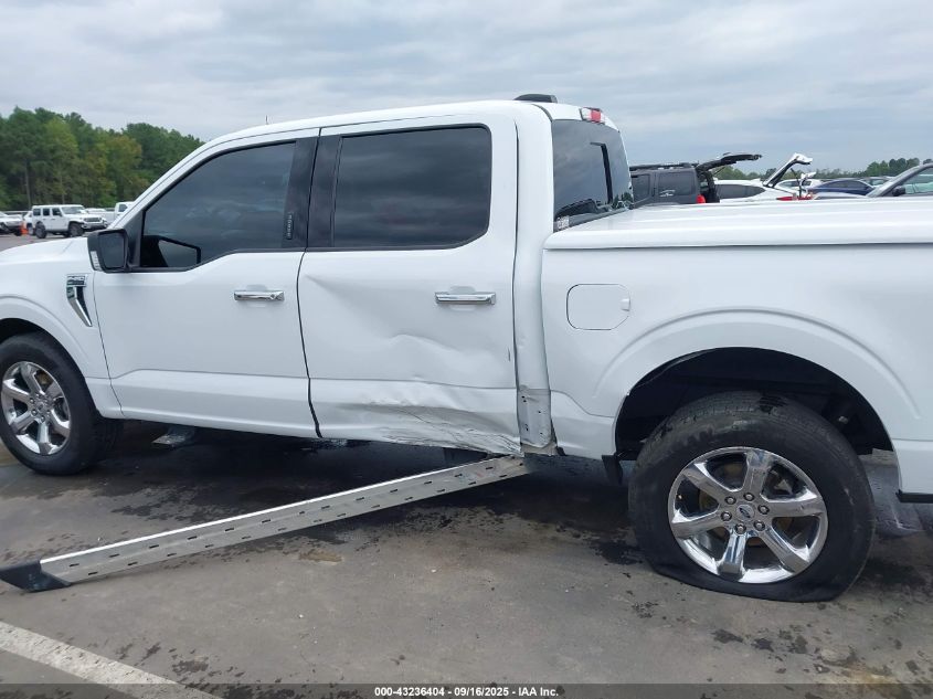 2023 Ford F-150 Xlt VIN: 1FTEW1C58PFA28542 Lot: 43236404