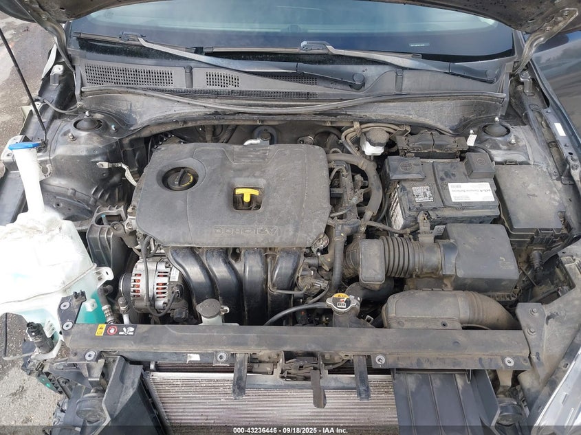 2019 KIA FORTE LXS - 3KPF24AD7KE116335