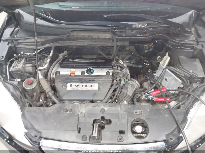 2009 Honda Cr-V Ex VIN: 5J6RE48569L003832 Lot: 43450762