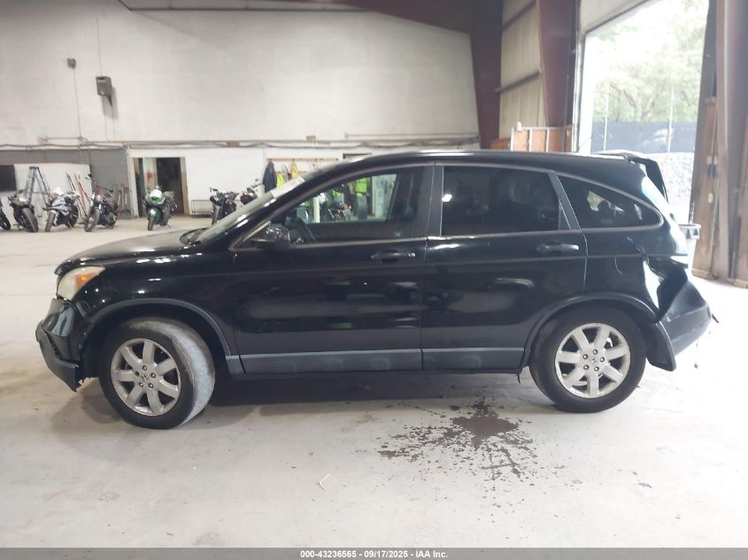 2009 Honda Cr-V Ex VIN: 5J6RE48569L003832 Lot: 43450762