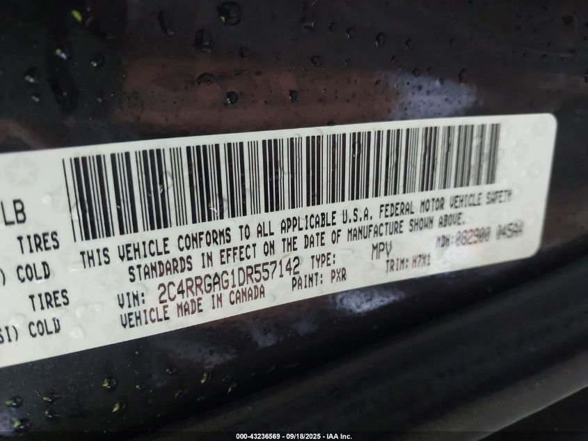 2013 Ram Cargo Tradesman VIN: 2C4RRGAG1DR557142 Lot: 43236569