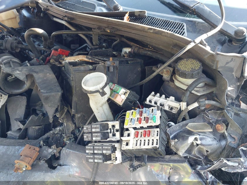 2013 FORD FIESTA SE - 3FADP4EJ6DM195004