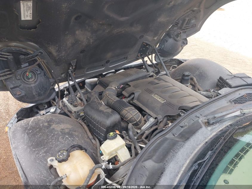 2006 Pontiac Solstice VIN: 1G2MB33B36Y101445 Lot: 43236759