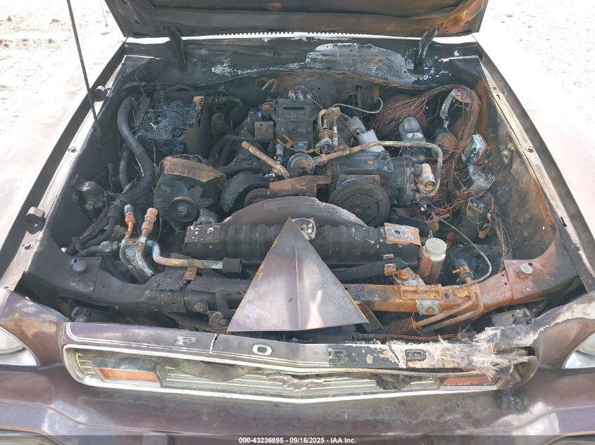 1976 Ford Mustang VIN: 6F04Z114884 Lot: 43236895