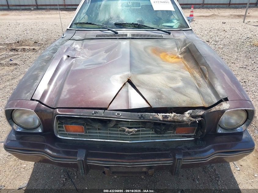 1976 Ford Mustang VIN: 6F04Z114884 Lot: 43236895