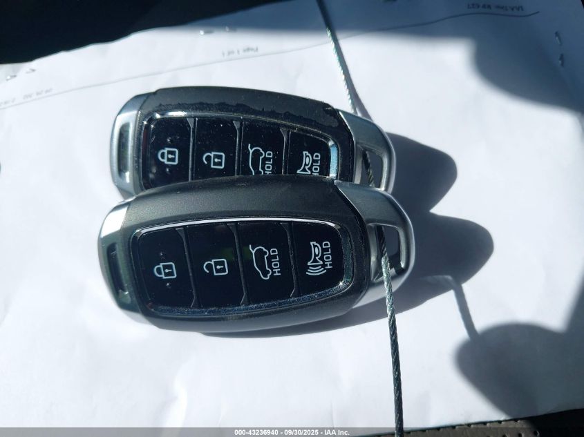 2020 Hyundai Santa Fe Limited VIN: 5NMS53AD7LH274538 Lot: 43236940