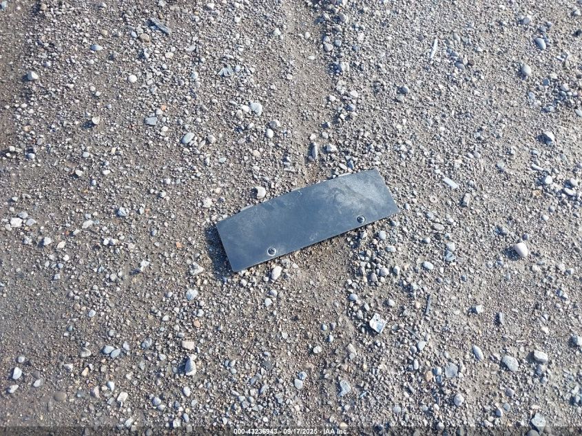 2020 Tesla Model 3 Performance Dual Motor All-Wheel Drive VIN: 5YJ3E1EC0LF641078 Lot: 43236943