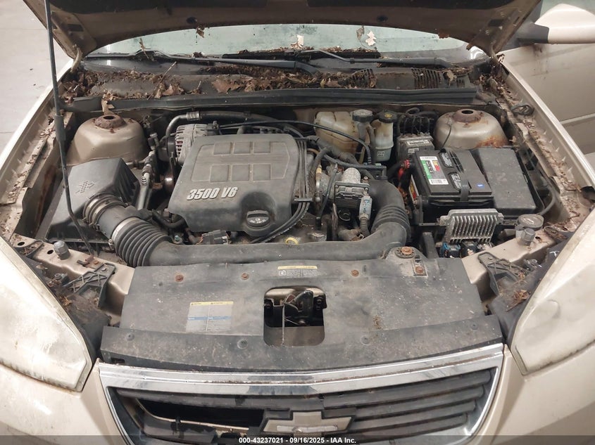 2006 Chevrolet Malibu Lt VIN: 1G1ZT51816F117634 Lot: 43237021