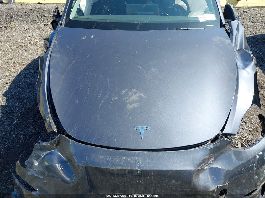 2023 Tesla Model Y Awd/Long Range Dual Motor All-Wheel Drive VIN: 7SAYGDEE8PF847017 Lot: 43237209