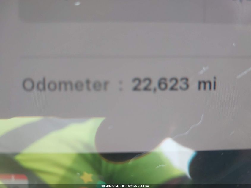 2023 Tesla Model Y Awd/Long Range Dual Motor All-Wheel Drive VIN: 7SAYGDEE4PA167984 Lot: 43237347