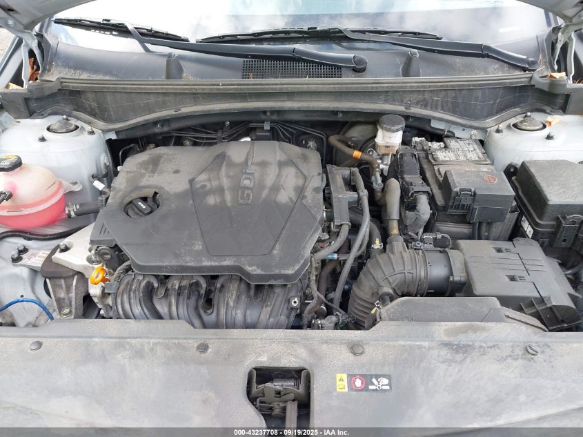 2023 Kia Sportage X-Line VIN: 5XYK6CAF6PG115721 Lot: 43237708