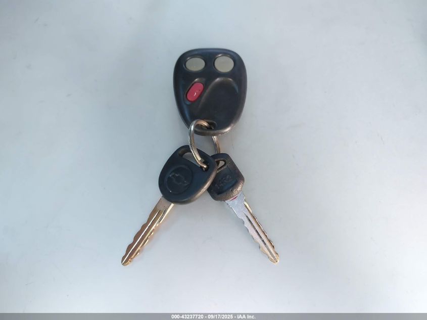 2004 Chevrolet Silverado 1500 Ls VIN: 2GCEC19V541241290 Lot: 43237720