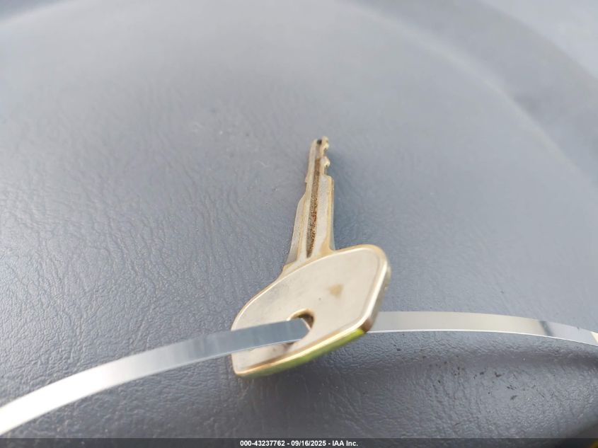 2004 Hyundai Accent VIN: KMHCF35C94U289597 Lot: 43237762