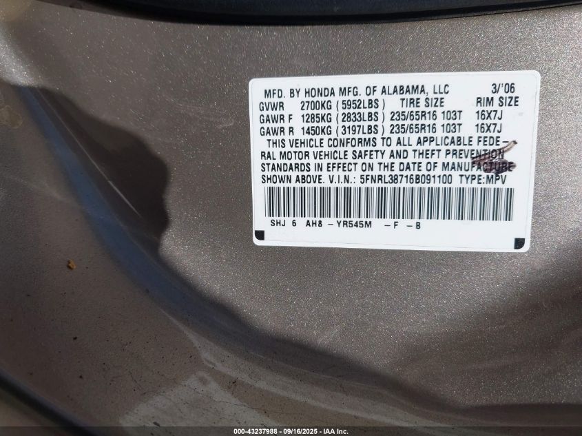 2006 Honda Odyssey Ex-L VIN: 5FNRL38716B091100 Lot: 43237988