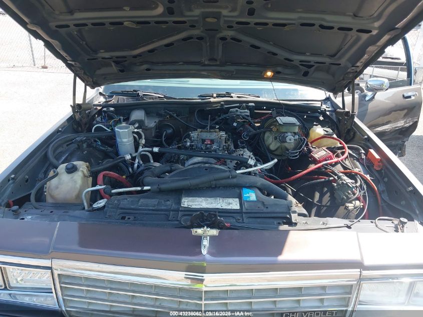 1982 Chevrolet Caprice Classic VIN: 2G1AN69H9C1230493 Lot: 43238060