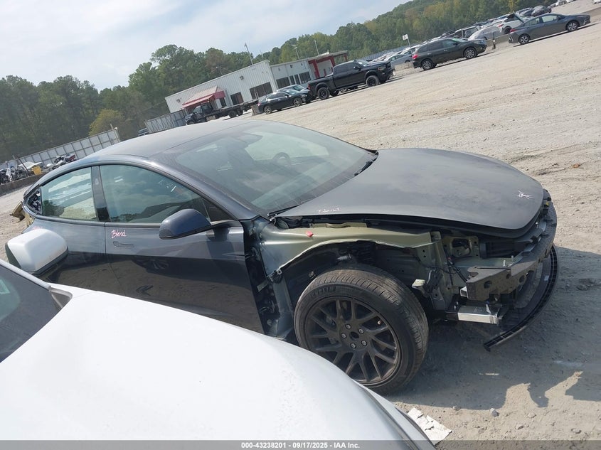 2025 Tesla Model 3 Long Range Rear-Wheel Drive VIN: 5YJ3E1EA8SF029756 Lot: 43238201