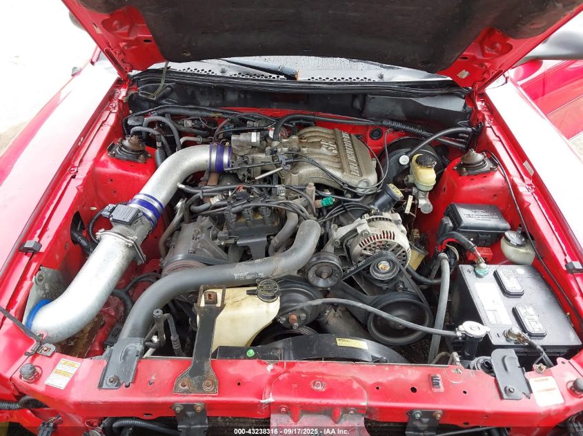 1997 Ford Mustang VIN: 1FALP4048VF184102 Lot: 43238316