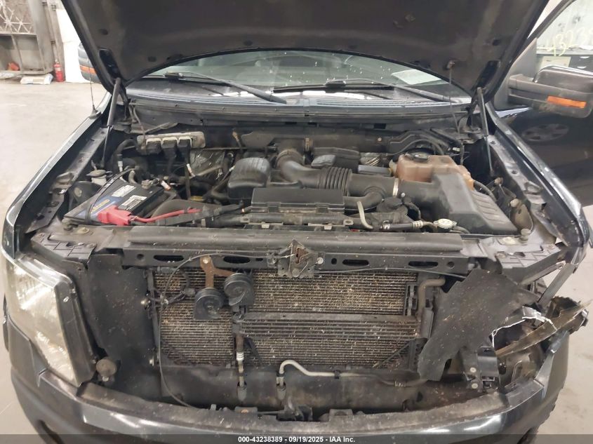 2010 Ford F-150 Fx4/Harley-Davidson/King Ranch/Lariat/Platinum/Xl/Xlt VIN: 1FTFW1EV0AFB72790 Lot: 43238389