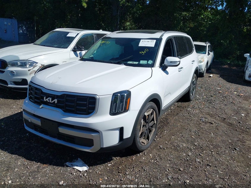 2025 KIA TELLURIDE S 5XYP6DGC8SG633704