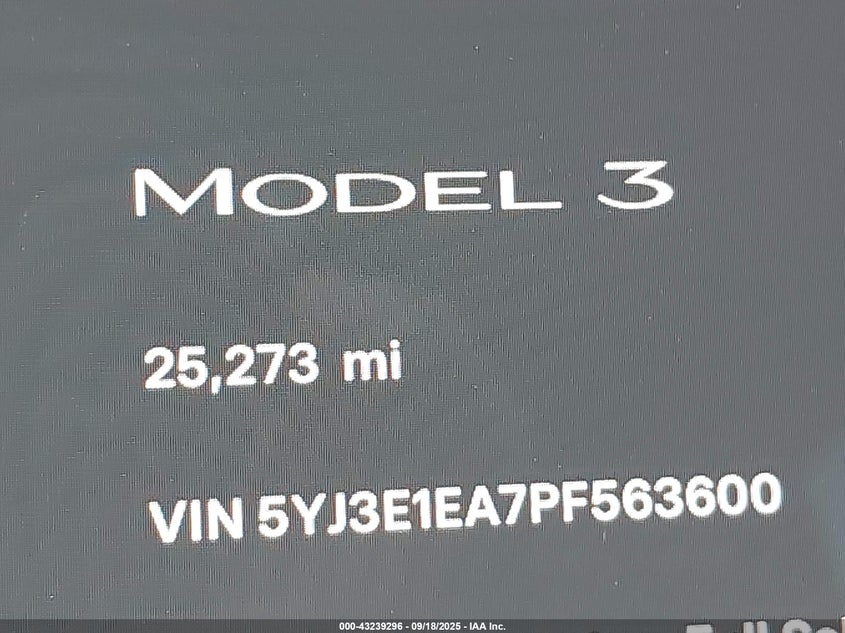 2023 Tesla Model 3 Rear-Wheel Drive VIN: 5YJ3E1EA7PF563600 Lot: 43239296