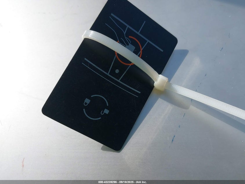 2023 Tesla Model 3 Rear-Wheel Drive VIN: 5YJ3E1EA7PF563600 Lot: 43239296