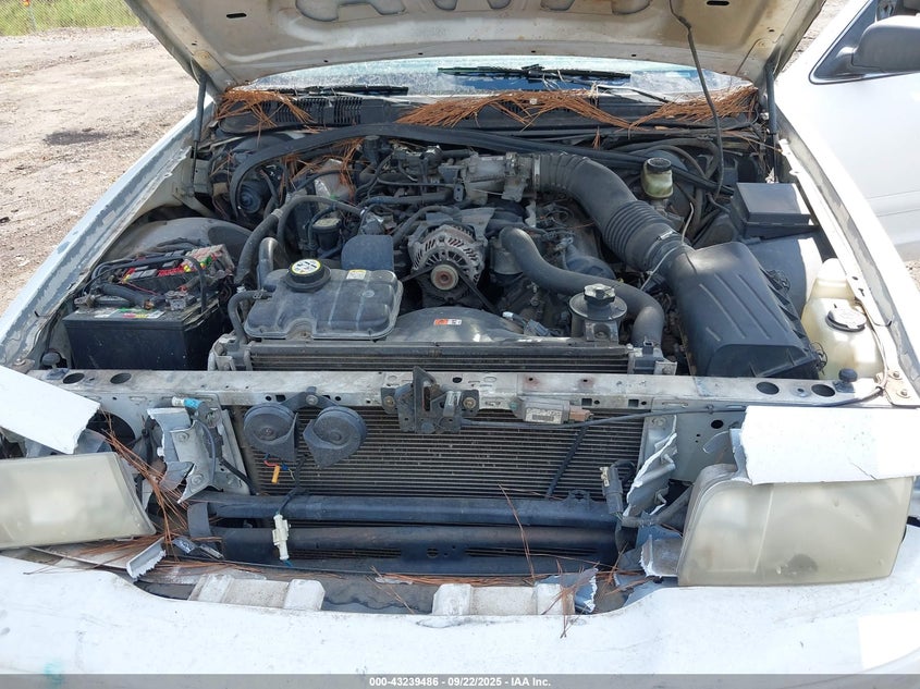 2004 Ford Crown Victoria Police VIN: 2FAFP71W34X143667 Lot: 43239486