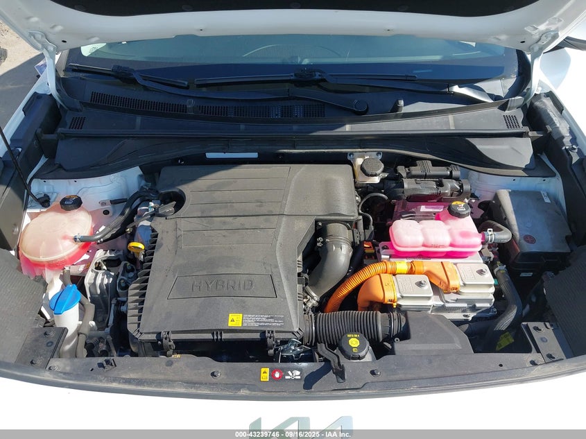 2022 KIA NIRO LXS - KNDCB3LC3N5524218