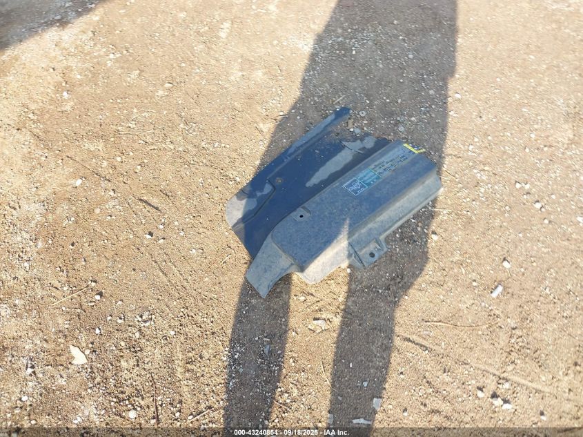 2004 Ford Expedition Eddie Bauer VIN: 1FMPU17L54LB51005 Lot: 43240854