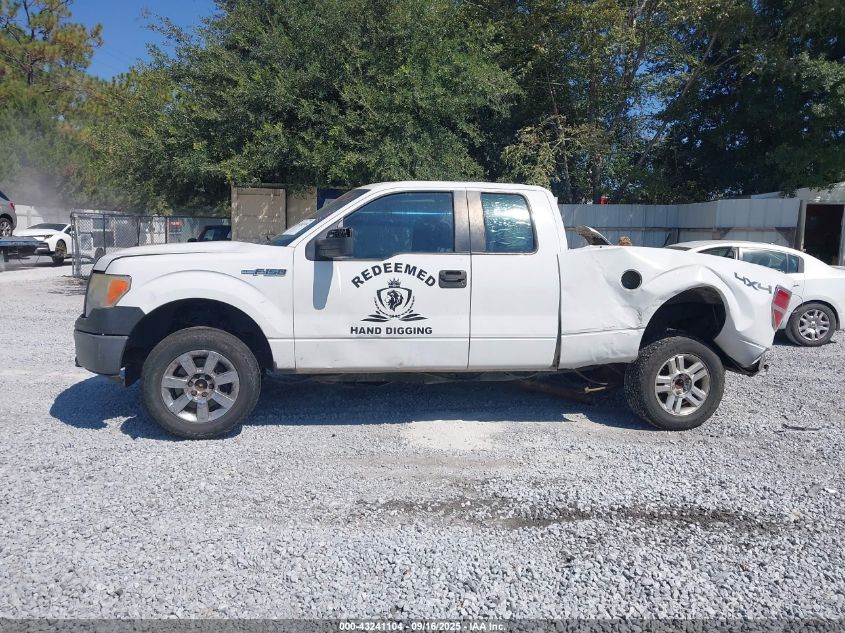 2010 Ford F-150 Stx/Xl VIN: 1FTEX1EW7AFB81455 Lot: 43241104