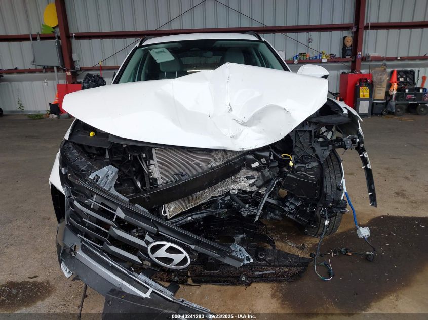 2025 Hyundai Tucson Sel VIN: 3KMJBCDE3SE004282 Lot: 43241283