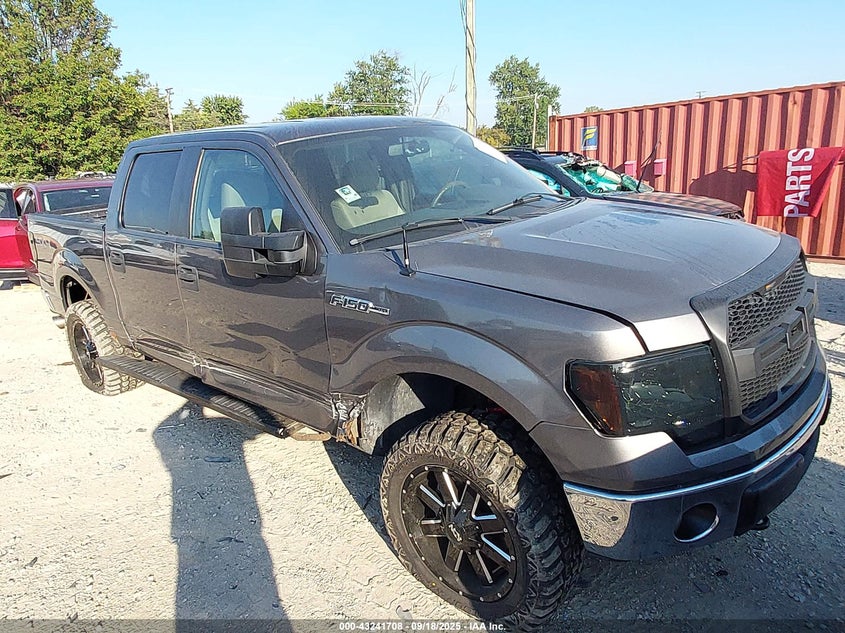 FORD F-150 FX4/HARLEY-DAVIDSON/KING RANCH/LARIAT/PLATINUM/XL/XLT