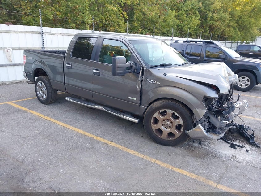 FORD F-150 XLT