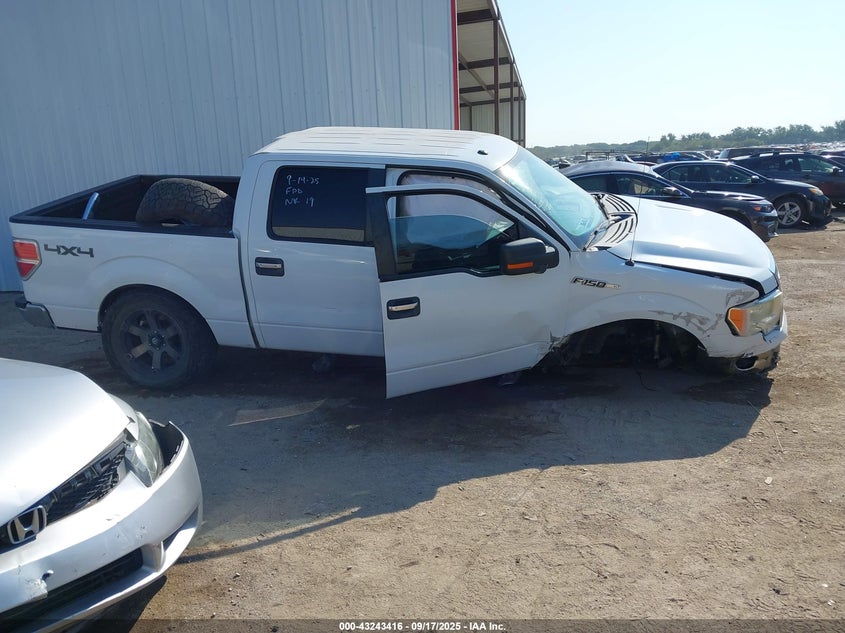 2013 FORD F-150 XLT - 1FTFW1EF8DKF65411