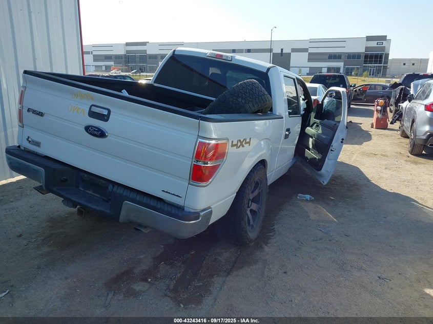 2013 FORD F-150 XLT - 1FTFW1EF8DKF65411