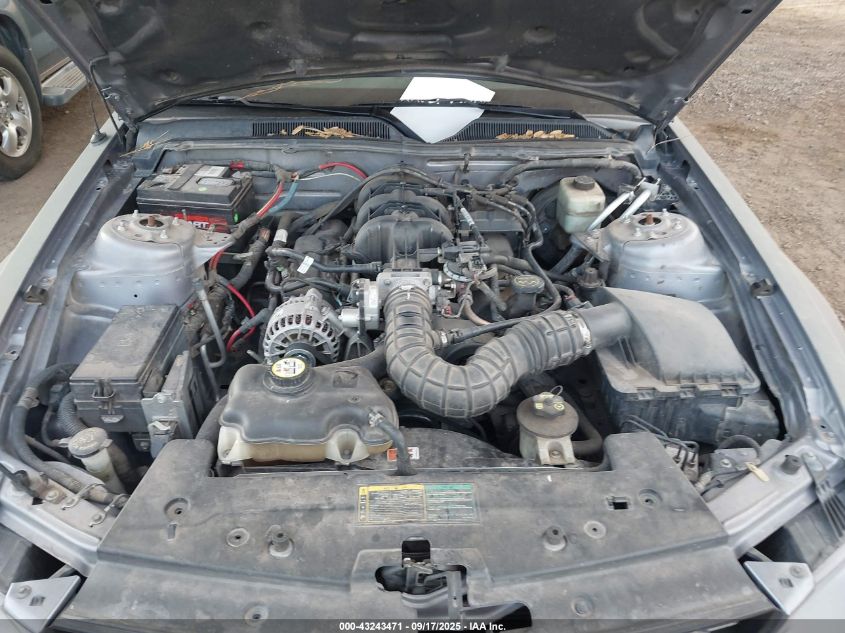 2006 Ford Mustang V6 VIN: 1ZVHT80N765207000 Lot: 43243471